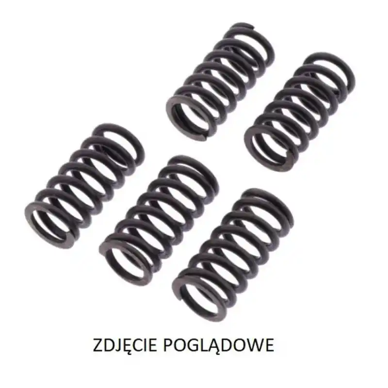 Zamów teraz TRW ZF SPRĘŻYNY SPRZĘGŁOWE DUCATI DIAVEL 1200 ‘17- ‘18