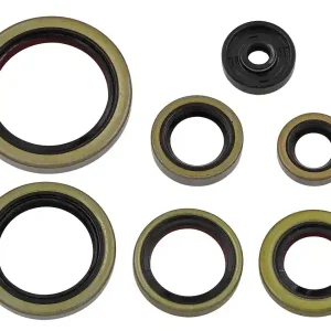 NAMURA KOMPLET (ZESTAW) USZCZELNIACZY OLEJOWYCH SILNIKA KTM SX/EXC250 17-24, XC-W250/300 17-23, HUSQVARNA TC250 17-24, TE250/300 17-24, TX300 17-24, GAS GAS EC250/300 21-23, MC/EX300 21-24 Super okazja
